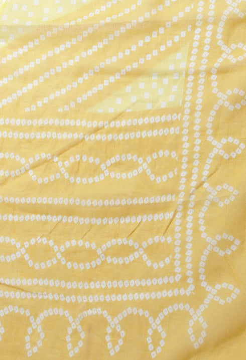 Pure Cambric Cotton Jaipuri Printed & Embroidered Kurta Set With Dupatta