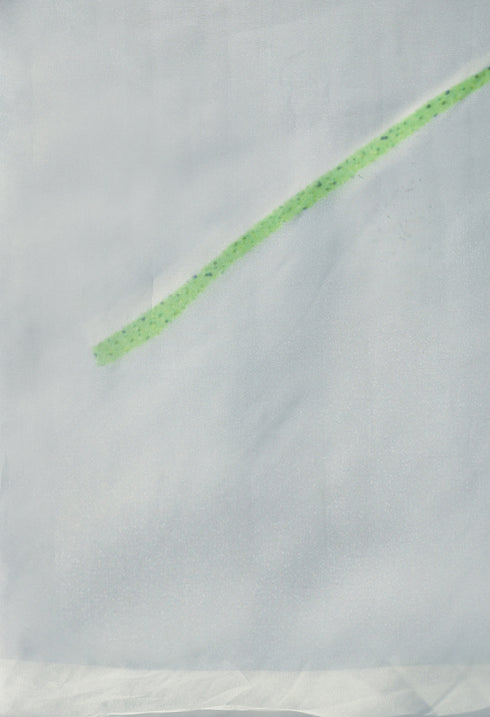 Grey And Yellow Organza Digital Floral Printed Traditional Saree