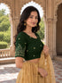 Rajnandini Women's Lycra Embroidered Readymade Blouse(BL1117MAHENDI0626)